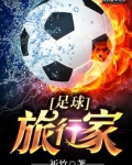 足球旅行家