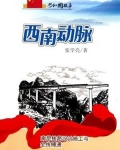 西南动脉:南昆铁路设计施工与全线铺通