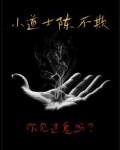小道士陈不欺