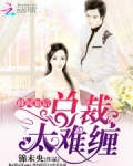 绯闻影后:总裁,太难缠