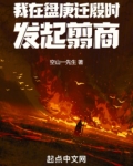 我在盘庚迁殷时发起翦商