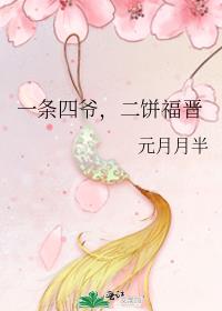 一条四爷,二饼福晋