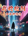 我的枪附加百种特性