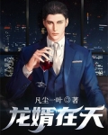 龙婿在天