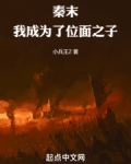 秦末，我成为了位面之子
