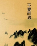 不妻而遇