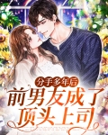 分手多年后，前男友成了顶头上司