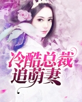 冷酷总裁追萌妻