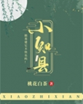 小知县