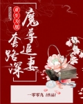 重生为凰:魔尊追妻套路深