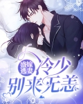 盛嫁逃妻:冷少别来无恙