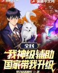 全民：我神级辅助，国家带我升级