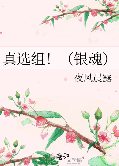真选组！（银魂）
