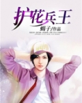 护花兵王