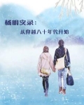主角杨明