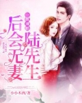 一纸薄婚：陆先生，后会无妻
