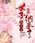 世子，夫人又帮您纳妾了