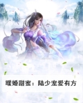 暖婚甜蜜:陆少宠爱有方