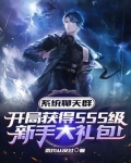 系统群：开局SSS级新手大礼包