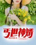 丐世神婿