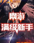 网游之满级新手