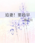 追妻!要趁早