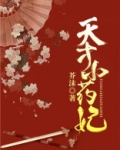 天才小药妃(芸汐传2)