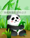 穿成熊猫的那些日子