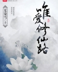 唯爱修仙路
