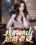 我的冰山总裁老婆