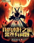 我的木叶之旅果然有问题