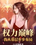 权力巅峰:我从基层步步布局