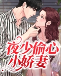 夜少偷心小娇妻