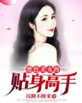 绝色美女的贴身高手