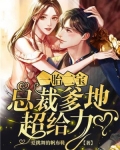 一胎二宝:总裁爹地超给力
