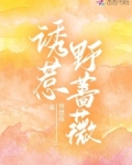 诱惹野蔷薇