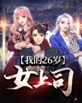 我的二十六岁美女总裁