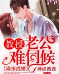 染指成婚,教授老公难伺候