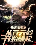 穿越亮剑:从苍云岭开始崛起