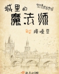 城里的魔法师