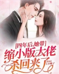 四年后,她带缩小版大佬杀回来了!